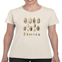 Konusni shell prikaz i majica žena -Jennifer Goldberger dizajni, ženski mali
