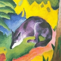 Plavkast crni fox-marc - platna ili fino štampana zidna umjetnost