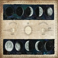 Faze mjeseca i pomračenja Print plakata - Elizabeth Medley