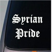 Sirijski pride 6 Naljepnica Sirija Auto kamion prozor Decal Love Unite Mir Sad * C782 *
