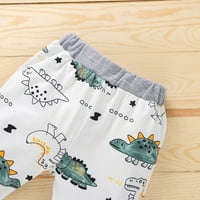 Daqian Baby Girls Odjeća za djecu Dječji dvostruki džemper s kapuljačom + ispisane pantalone odijelo