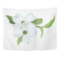 Zeleni cvijet bijeli kurdus cornus Florida cvjeta na drveću Beauton cvjeta zidna umjetnost Viseća tapiserija