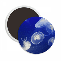 Ocean Jellyfish Naucnosti Nature Slika okruglog ceraca Frižider Magnet za održavanje ukrasa