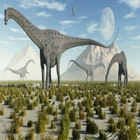 stado diplodokusa Sauropod dinosauri tokom Zemljenog postera za poster JurAssic