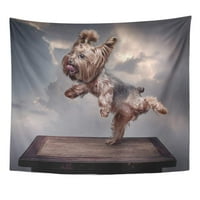 Slatki pas Yorkie Jorkširski terijer ples koji stoji na svojoj zidnoj umjetnosti Viseća tapiserija Kućni