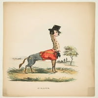 Giraffe, iz stripa prirodna istorija postera za ljudske trke Print Henry Louis Stephens