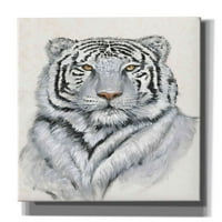 Epic Graffiti 'White Tiger I' Tim O'toole, Platno Zidna umjetnost, 18 x26