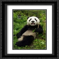 Giant Panda Cub nazvana Xiao Lei Lei, Rezervat prirode Wolonong, Kina Matted Crna Ornate Framed Art Print by Feng, Katherine