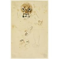 Eugène Delacroi Crni moderni uokvireni muzej umjetnički print pod nazivom - glave i šape lavova