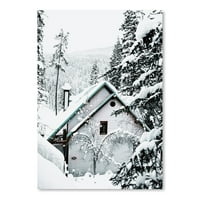 Americanflat kabine u snježnoj borovoj boji šume Tanya Shumkina Art Art Print