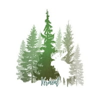 Vermont, losa i planine, zeleni tonovi