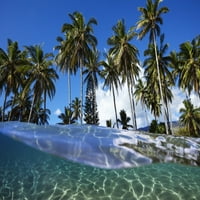 Podjeli s pogledom sa okeanskim i palmima; Lanai, Havaji, Sjedinjene Američke Države Jenna Szerlag Design