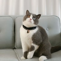 Pet Velvet Star CAT STRETEM Podesiva čipkasti ovratnik Cat čipka ogrlice Ogrlice Ogrlice Pribor