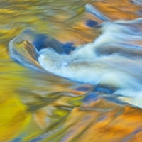 Kanada, Ontario, RosSeau. Maple su se odrazile u potoku na zalasku sunca. Poster Print Jaynes Gallery