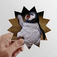 Stvorenje Antarktik Slatka pingvina nauka Nature Sun Vinil naljepnica za prtljag grafiti cvjetni naljepnica
