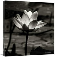 Fotografski otisak 'Lotus cvijeća VII' na platnu, dodatni materijali: drvo, umjetnik: Debra van kupaste
