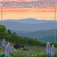 Nacionalni park odličnih dimnih planina - medvjed i proljetne cvijeće - lampionsko prešanje