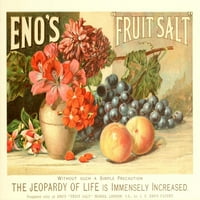 Časopis Art Eno-ovog postera za voće soli ispis nepoznatog