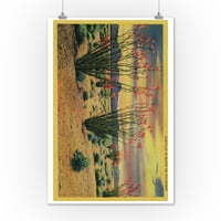 Cvijeće ocotillo u Bloom, California Desert - Vintage poster