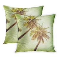 Plavo stablo Vintage Palm Beach Tropično apstraktno nebo retro kokosov ljetni jastučni jastučni jastuk set od 2
