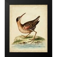 Edwards, George Black Moderni uokvireni muzej umjetnički print pod nazivom - Antique Bird Menagerie