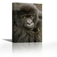 Mountain Gorilla Maloletni portret, planine Virunga - Savremena likovna umjetnost Giclee na platnu Galerija