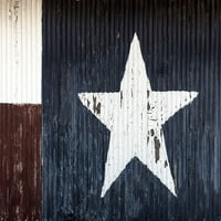 Lone Star Poster Print - Mindy Sommers