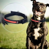 CAWbing LED svjetla za pse ovratnici noćna sigurnost Anti-izgubljene treptajuće najlonske ogrlice za pasa mačja USB & solarno punjenje sjajnih ogrlica za kućne ljubimce