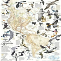 Mapa za mirisa ptica, zapadnjak zapadnih hemisfera Arthur Singer koji je prodao Art.com
