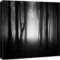 Idea4wall Canvas Zidno umetničko svjetlo filtriranje kroz maglovito stabla Nature Forest Fotografija Realizam Tradicionalna slikovna dramatična crno-bijela za dnevni boravak, spavaću sobu, ured - 16 x24
