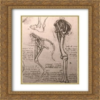 Leonardo da Vinci Matted Gold Ornate uramljene umjetničke ispis 'crtež komparativne anatomije nogu muškarca i psa'
