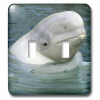 3Droza Beluga Whale, Beluga Whale, Vancouver Aquarium-CN KSC - Kevin Schafer - dvostruki preklopni prekidač