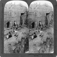 Svjetski rat I Njemački mrtav. Ngermanske žrtve u betonskom rovu nakon bitke kod Meninskog putnog grebena