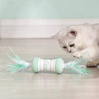 Chasing Funny za mačke mače sa zvono perja unutarnje vježbu Kućni ljubimci kućni ljubimci Cat Perther Toys Mačka interaktivne igračke za igračke zelene boje
