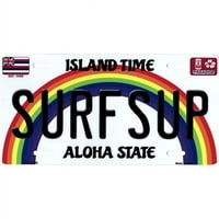 Glavni LP- in. Surfsup Havaii Metalna registarska ploča