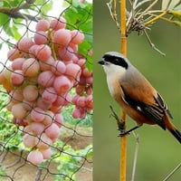 Ptica mreža za teške baštetne biljke i voćke zaštitne mreže
