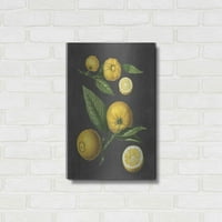 Luxe Metal Art 'Limun Citrus' by lotsed & obložen, metalna zidna umjetnost, 16 x24