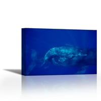Humpback Whale Krav i tele i muški pratnji, Maui, Havaji - Savremena likovna umjetnost Giclee na platnu