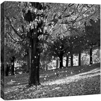 PIXONSINGN CANVAS Ispis zidne umjetničke stable od lišća u šumi Pljoštinu prirode Fotografija Moderna umjetnost Savremeni pejzažni dramatični tamni crno-bijeli za dnevni boravak, spavaću sobu, ured - 12x18