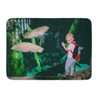 Dječak malih djece divi se različitim gmizavama i ribama u akvarijumu kroz staklenu zooku Harpy školska