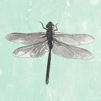 DRAGONFLY II PASTER PRINT BY PI Galerie