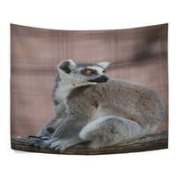 Popcratiemion Lemur Home Dekoracija zidne tapiserije