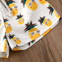 Izhanske toddler Baby Boy Havajska plaža Kratke hlače Ananas List Ispis Pružajte djecu Djeca široke šorc surf kupaće kostime Beige 2- godine