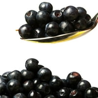 Amoretti - Huckleberry Extract Soluble Oz - Visoko koncentrirani i savršen za pecivo, slano, piva i