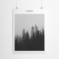 Americanflat Forest by Nuada poster Art Print