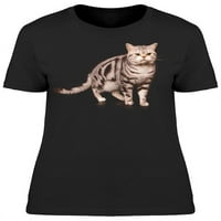 Slatka mačka Stočna majica Žene -Image by Shutterstock, ženska X-velika