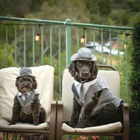 Midlee pas tuxedo vjenčani odijelo - sivi top hat i povodac