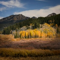 Jesenji pogled na vrbe i aspenske groves-Grand Teton National Park-Wyoming Poster Print - Adam Jones