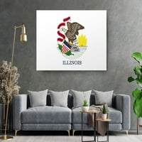 Državna zastava Illinois USA zastava edition platna na zidnom umjetničkom uređenju