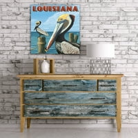Louisiana, smeđi pelikani